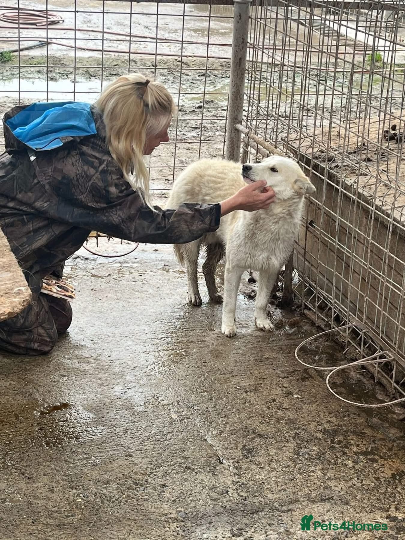 Song - Norwich Norfolk photo 6