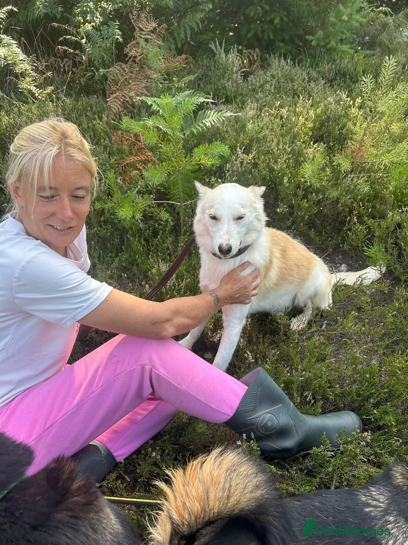 Song - Norwich Norfolk photo 18