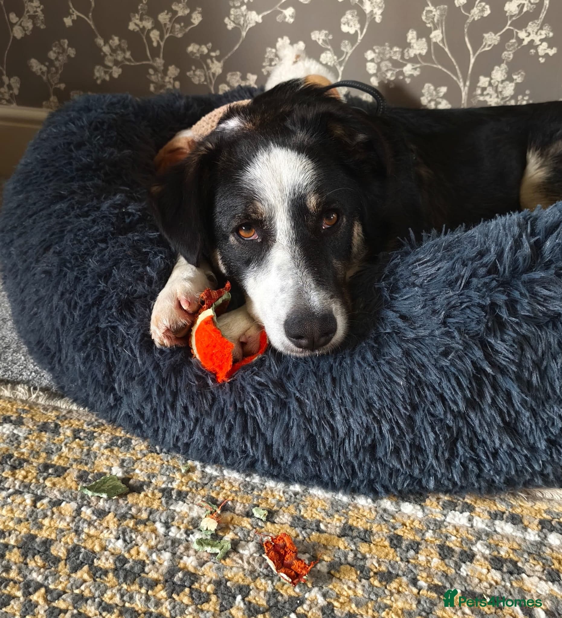 MAX๐ Let Down But Still Loving photo 16