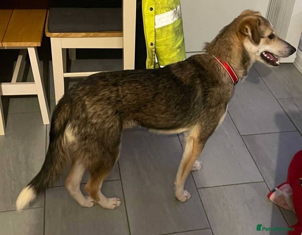 Meet Mary,currently residing in Canterbury photo 7