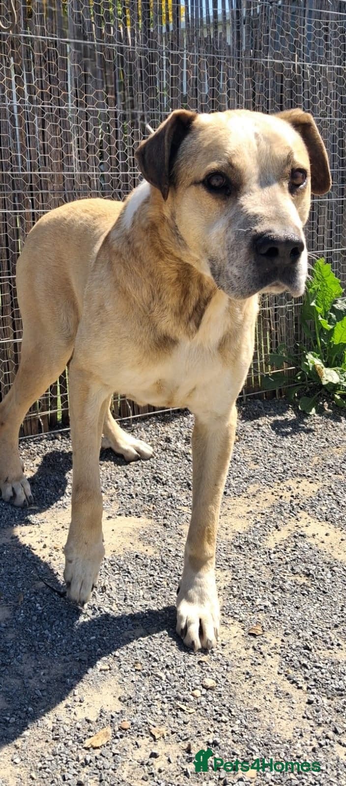 Gem ๐ ๐พ photo 8