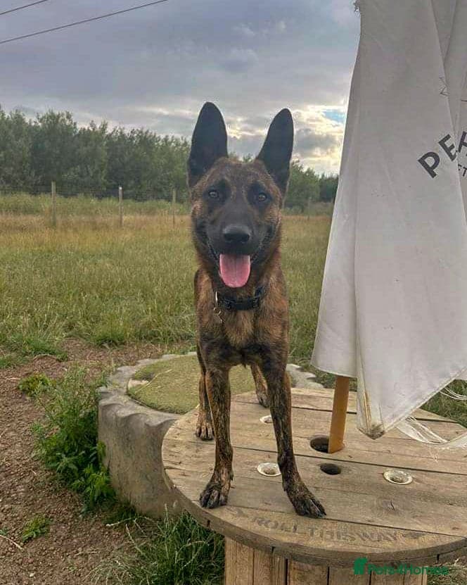 Beautiful buzz photo 6