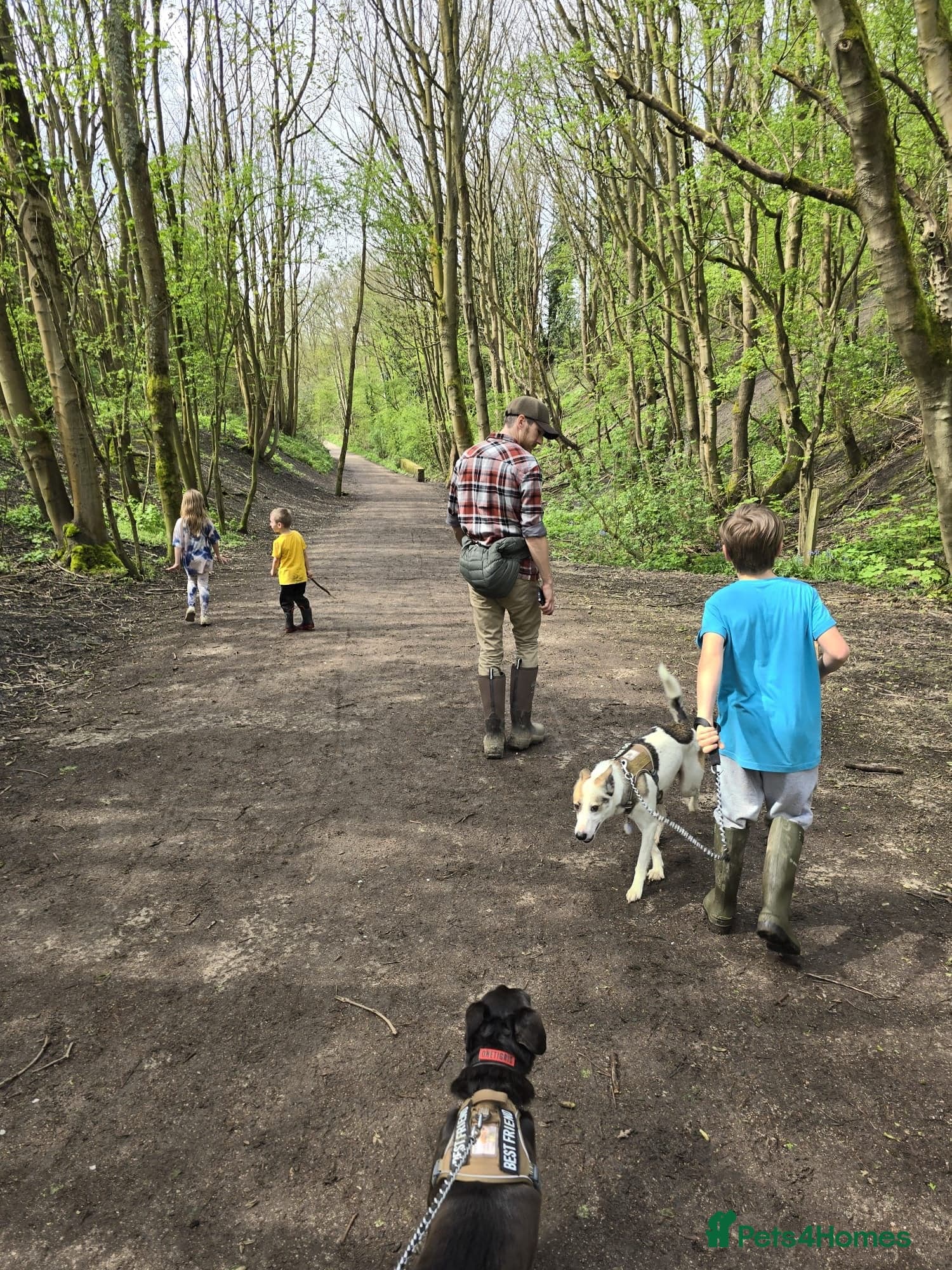 ๏ธ๐ถ bela photo 17