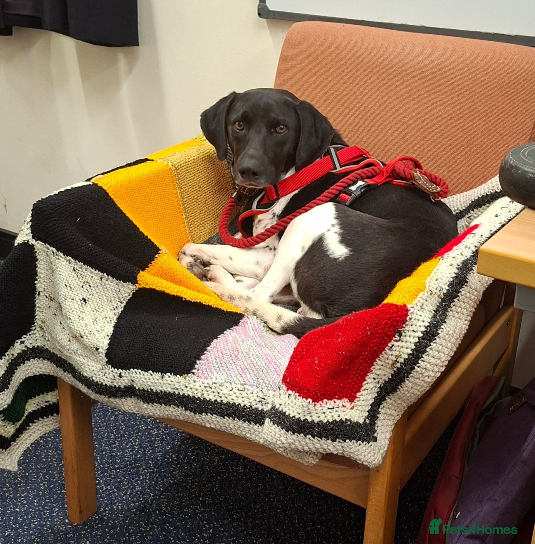 Stratos ! ❤️ a Cypriot sweetheart photo 4