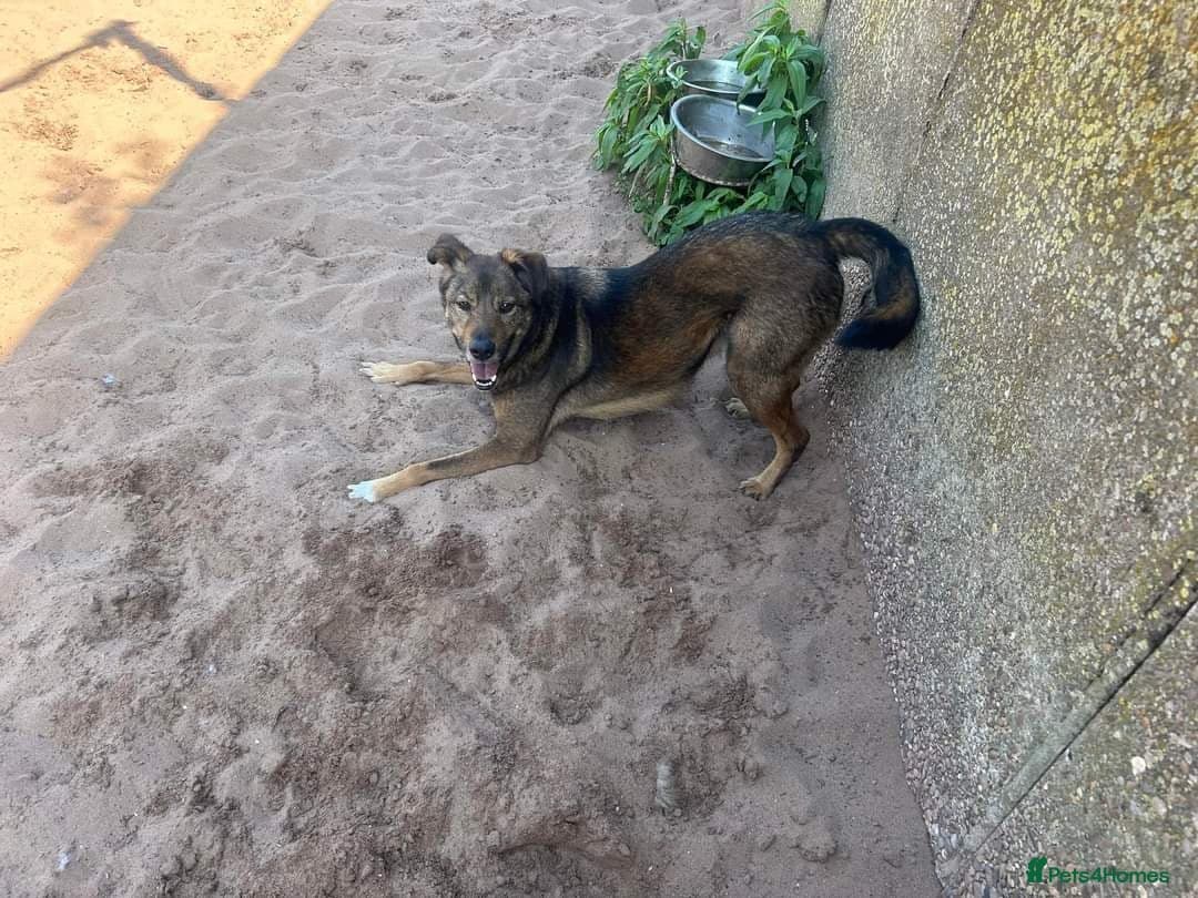 Meet Jake, currently residing in Cheshire photo 28