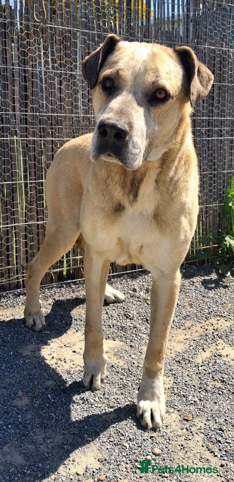 Gem ๐ ๐พ photo 3