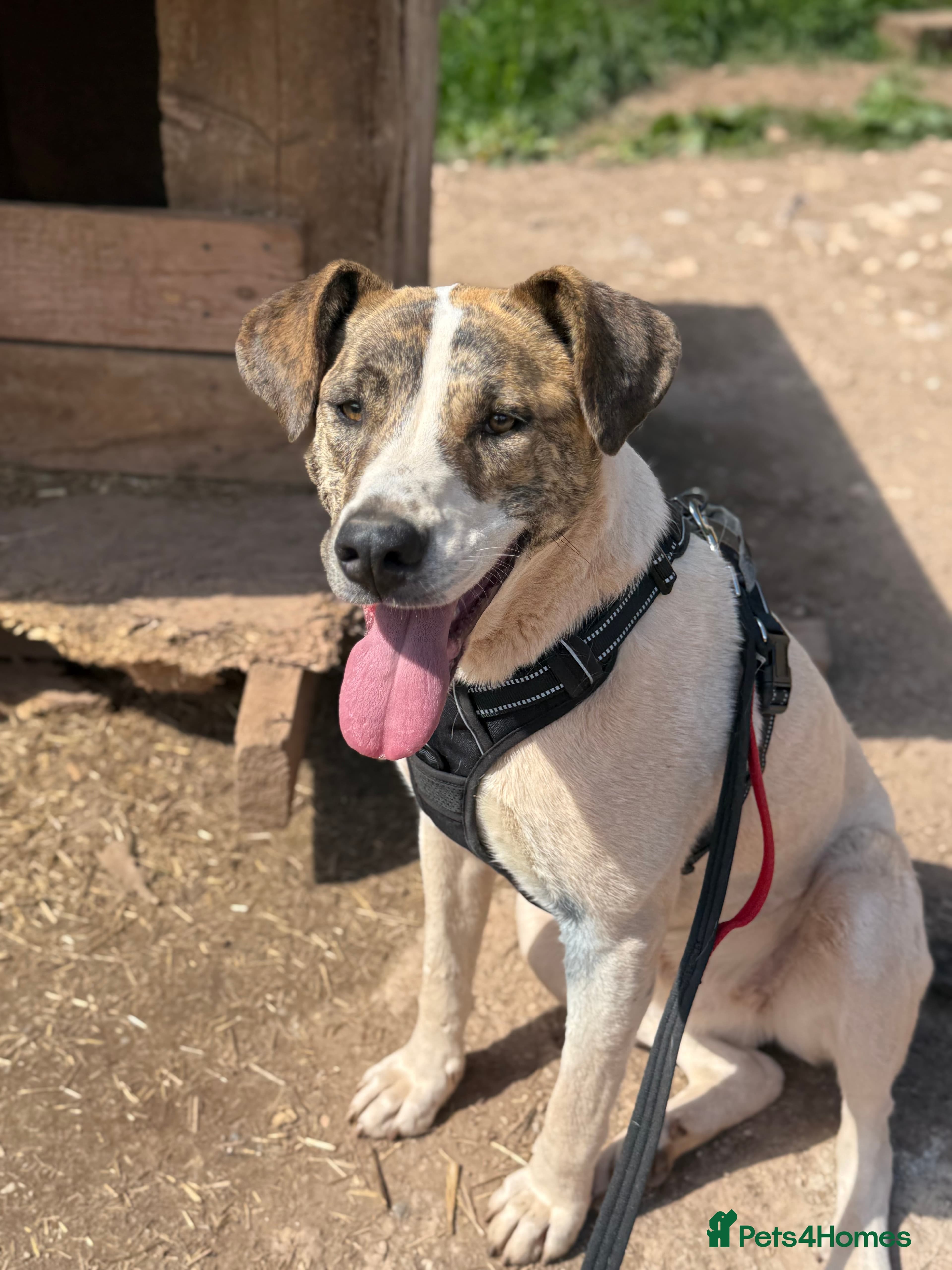 Jasmine 🩷 photo 6