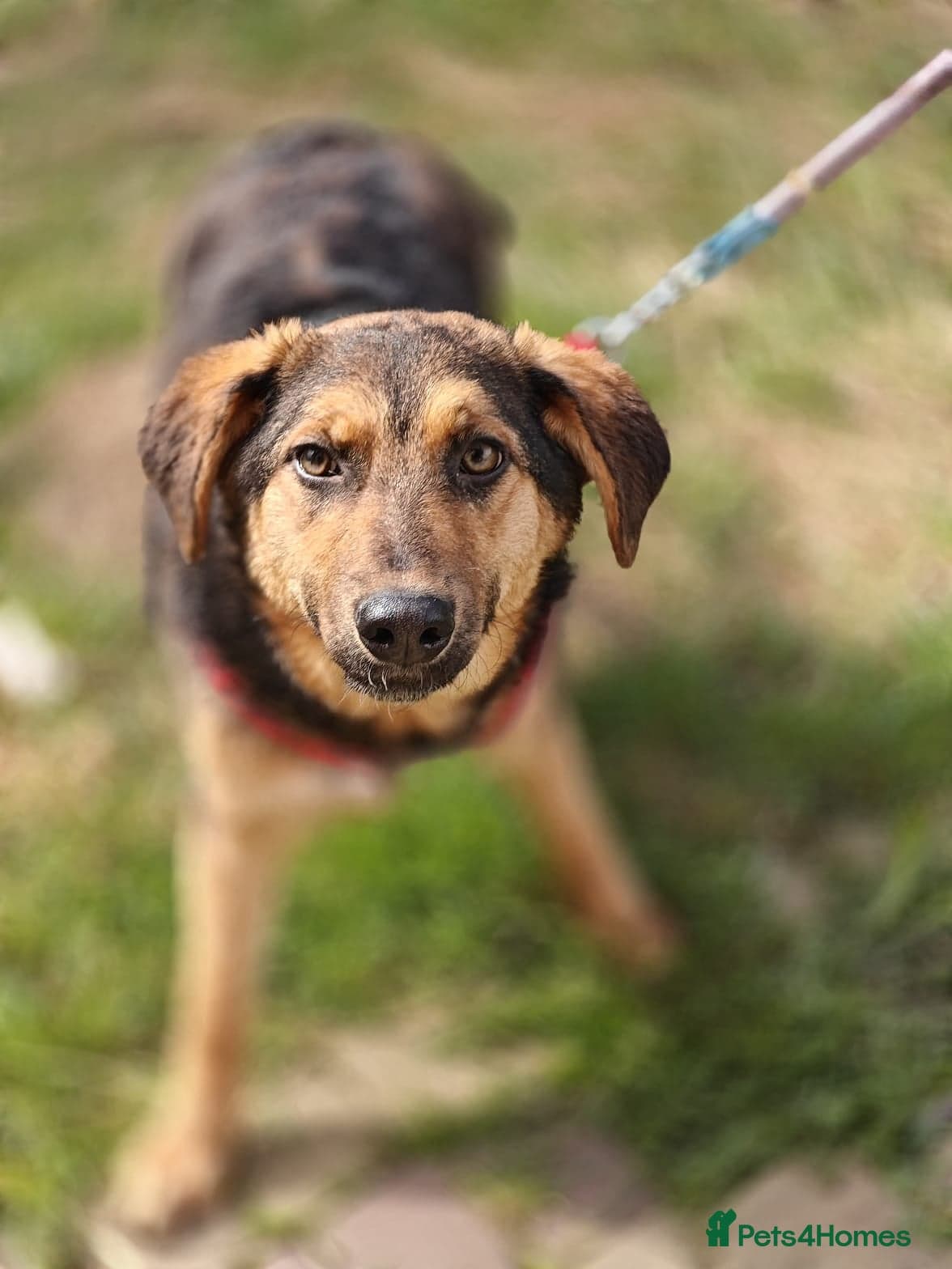 ๏ธ๐ถ yasia photo 18