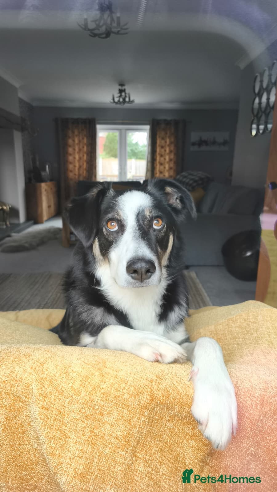 MAX๐ Let Down But Still Loving photo 2