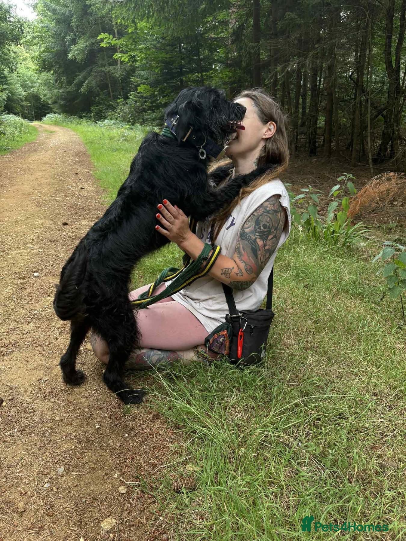 Micky - Norwich Norfolk photo 6