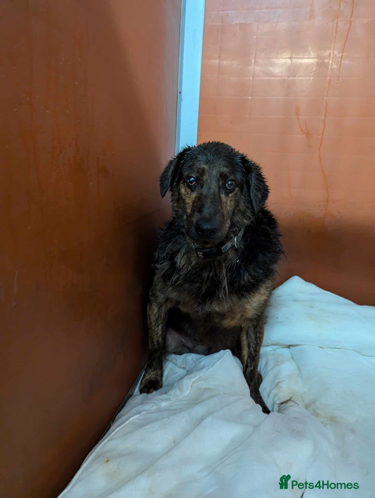 Meet Jess, currently residing in Essex photo 6