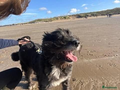 Meet Livi, currently residing in Cheshire photo 4