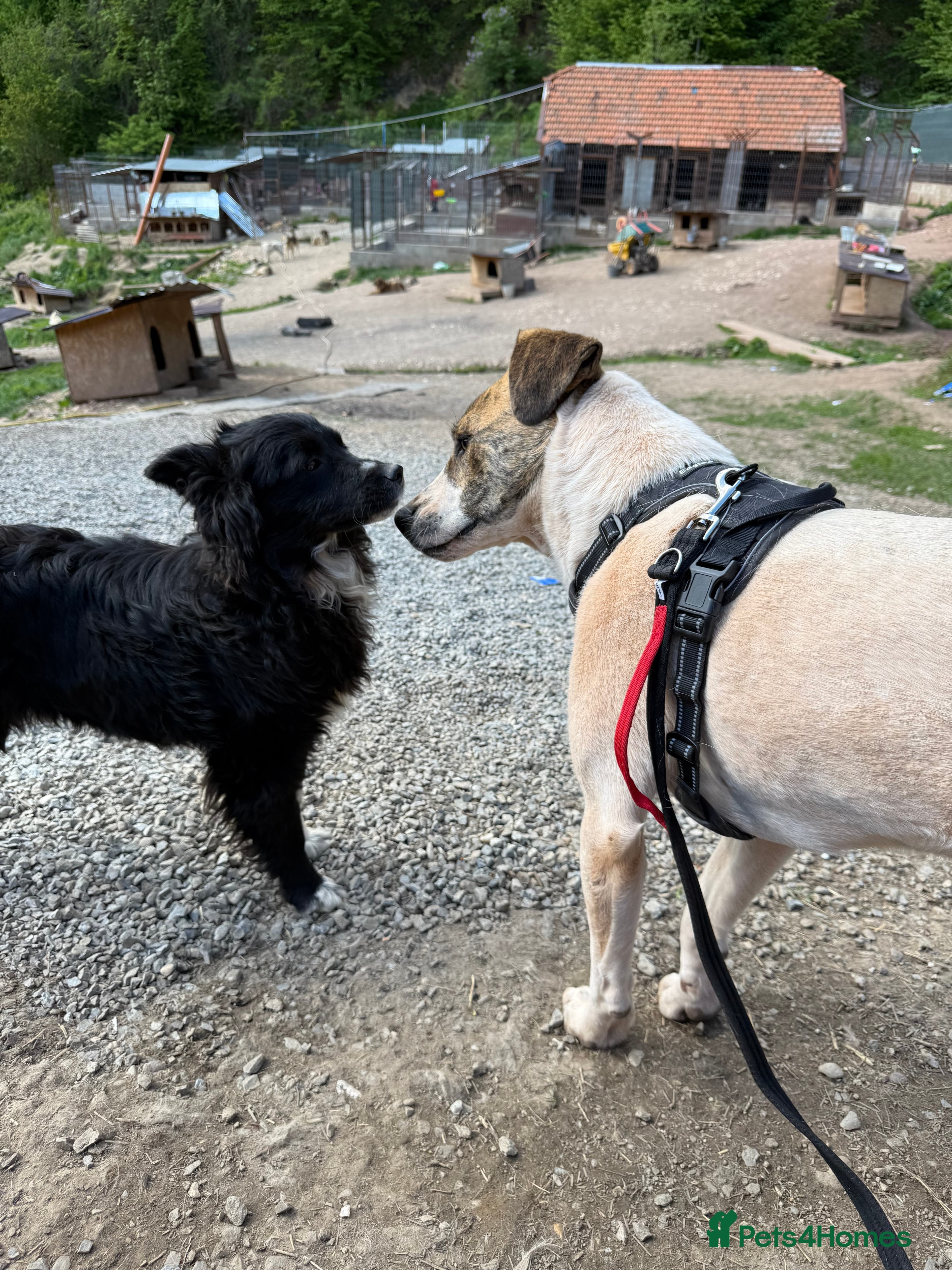 Jasmine 🩷 photo 5