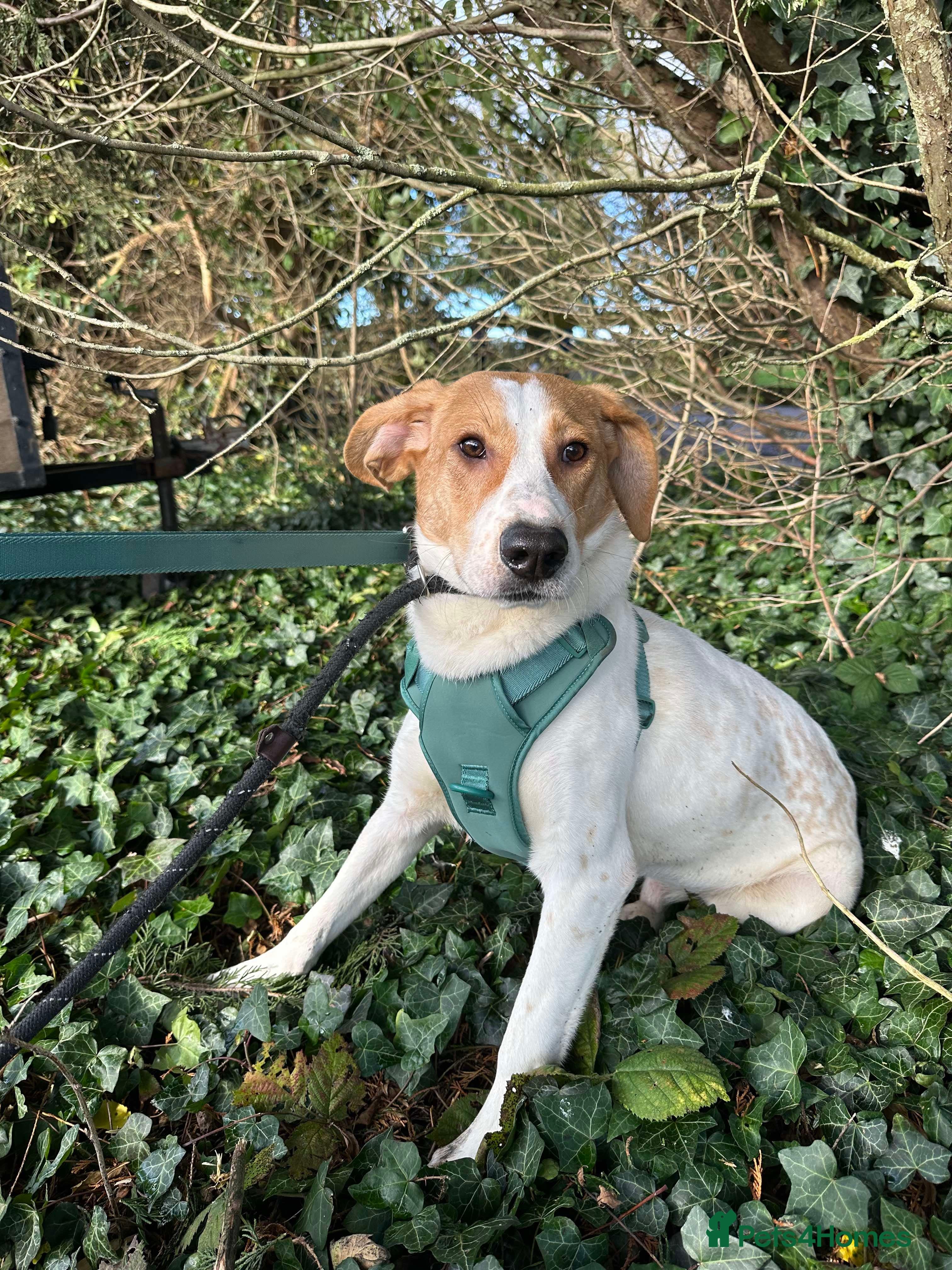 Meet Jordan, currently residing in Cheshire photo 2