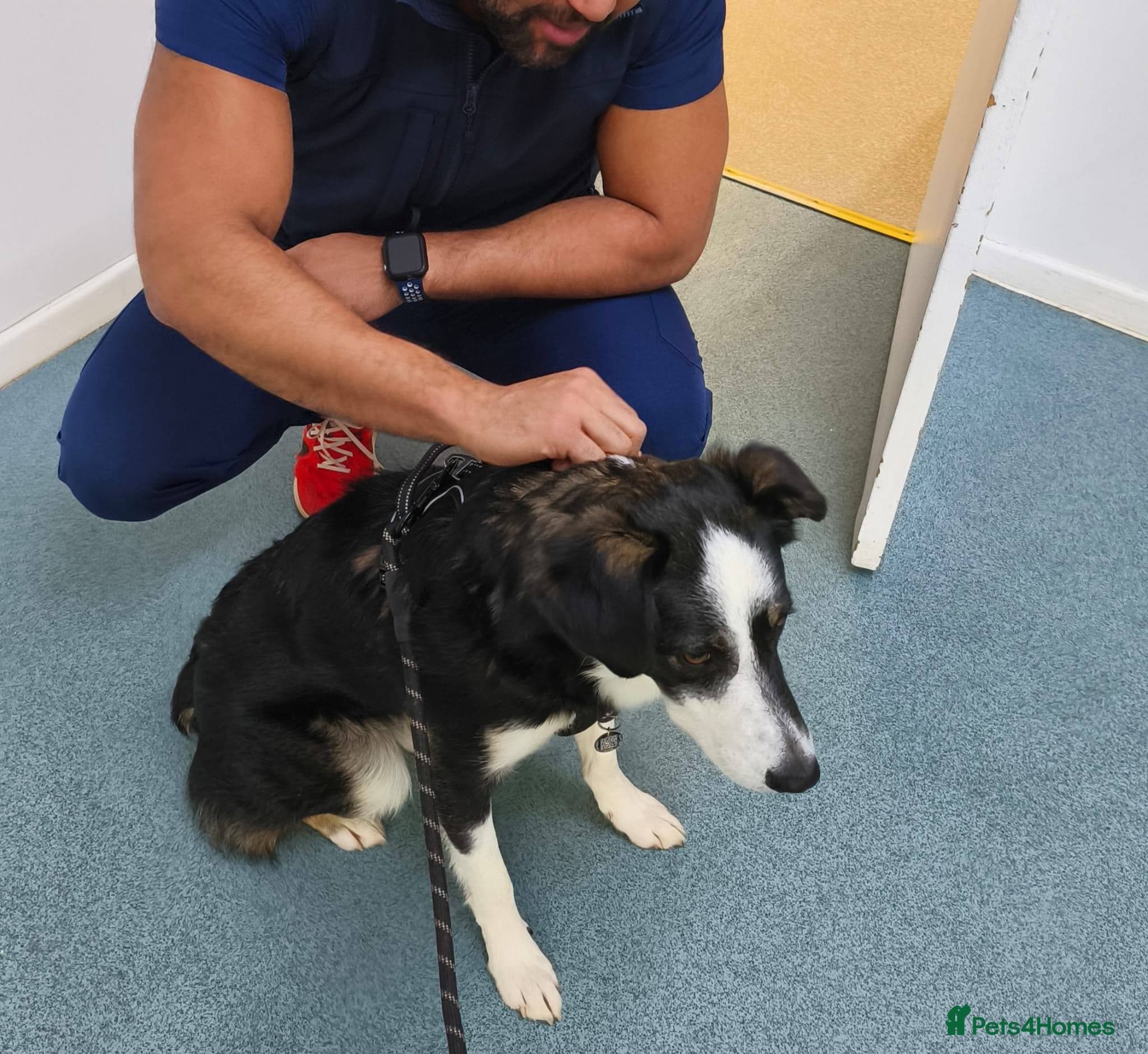 MAX๐ Let Down But Still Loving photo 11