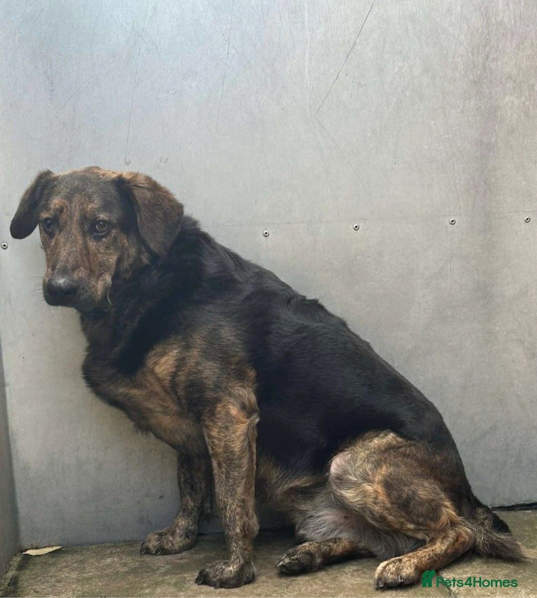 Meet Jess, currently residing in Essex photo 4