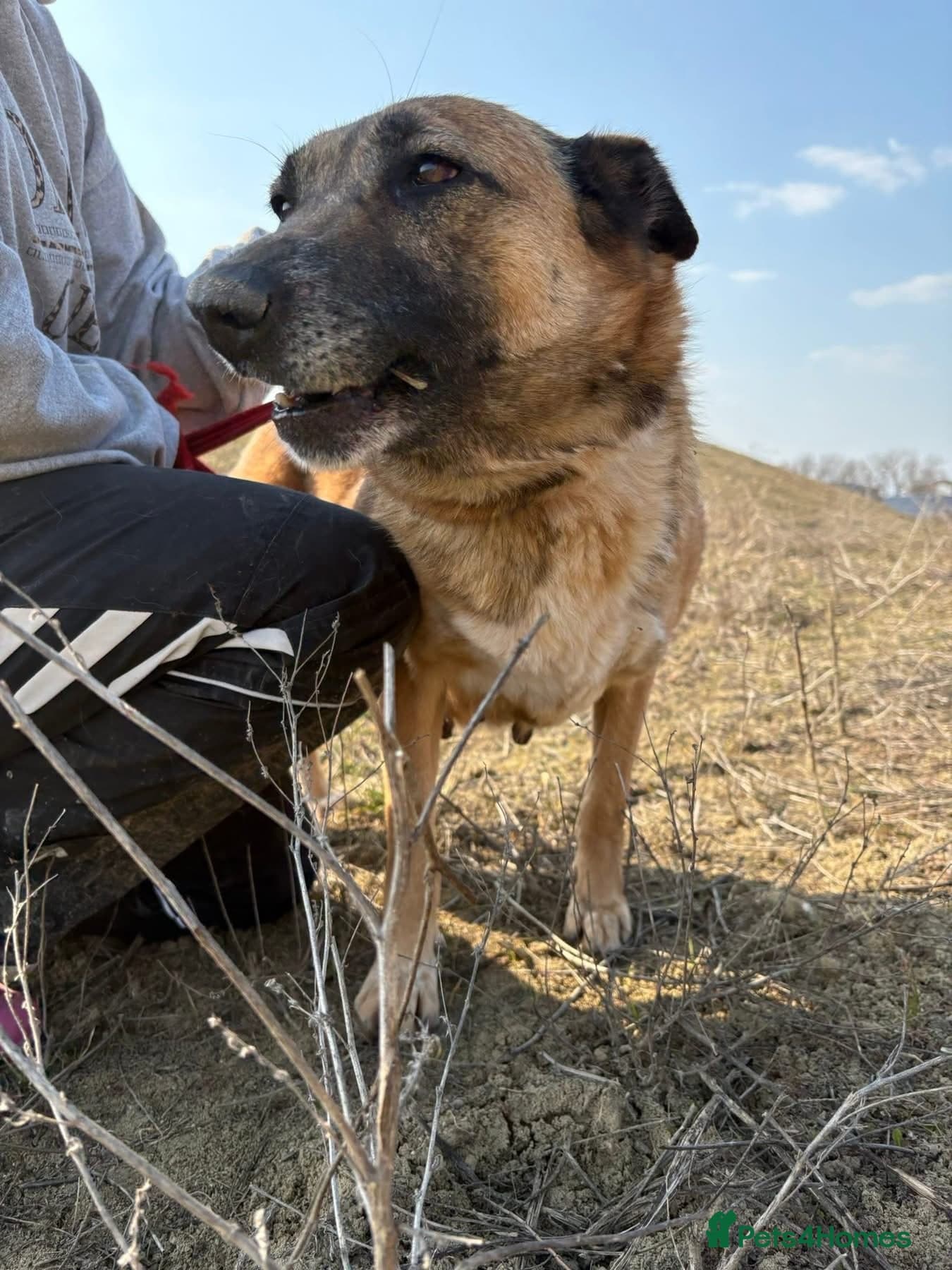 Thelma - Norwich Norfolk photo 8