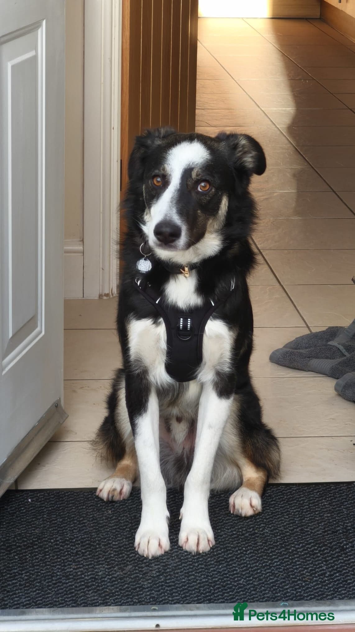 MAX๐ Let Down But Still Loving photo 4