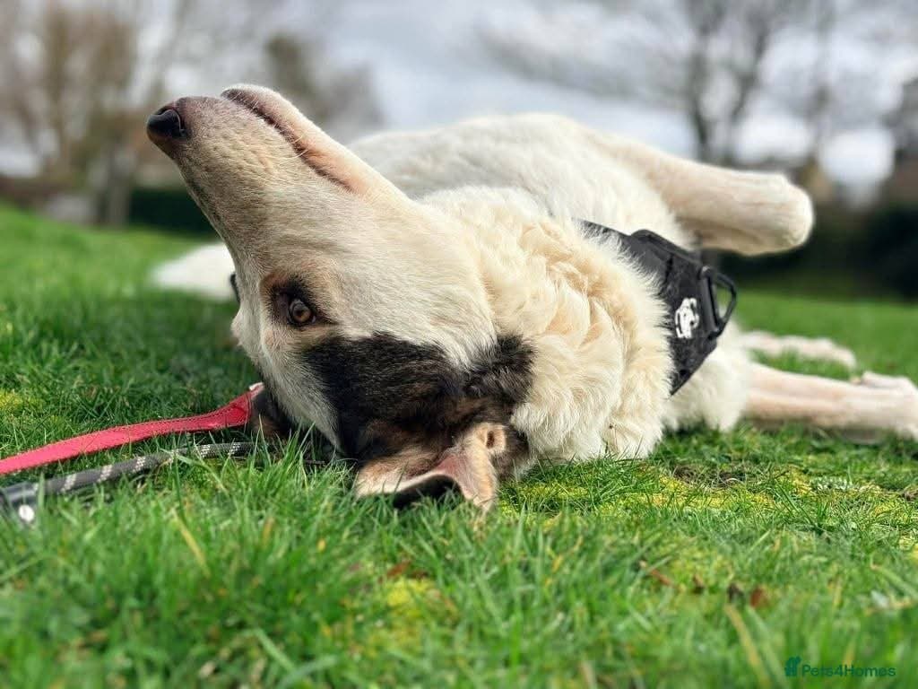 Meet Demi, currently residing in Essex photo 3