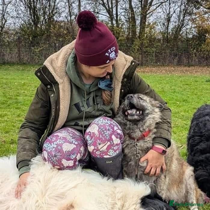 Luna Chow 💜 photo 14