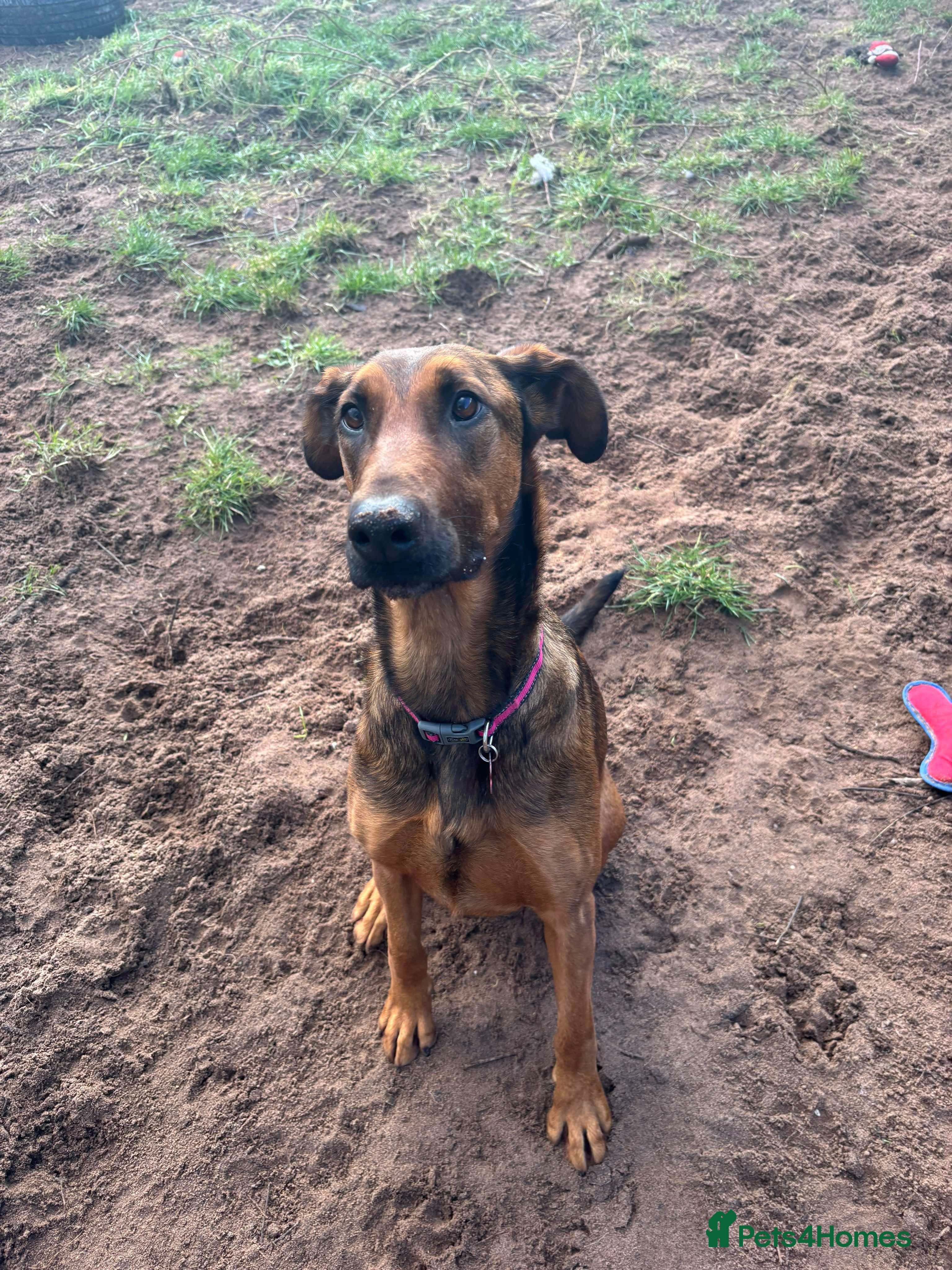 Meet Carrie,currently residing in Cheshire photo 4