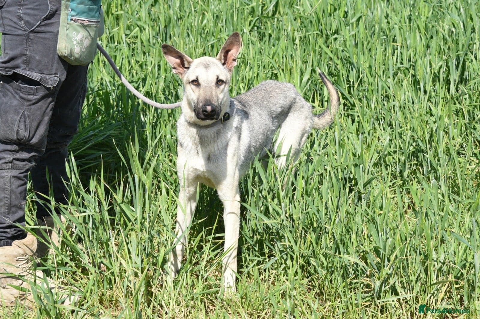 Sweet boy Timo photo 4