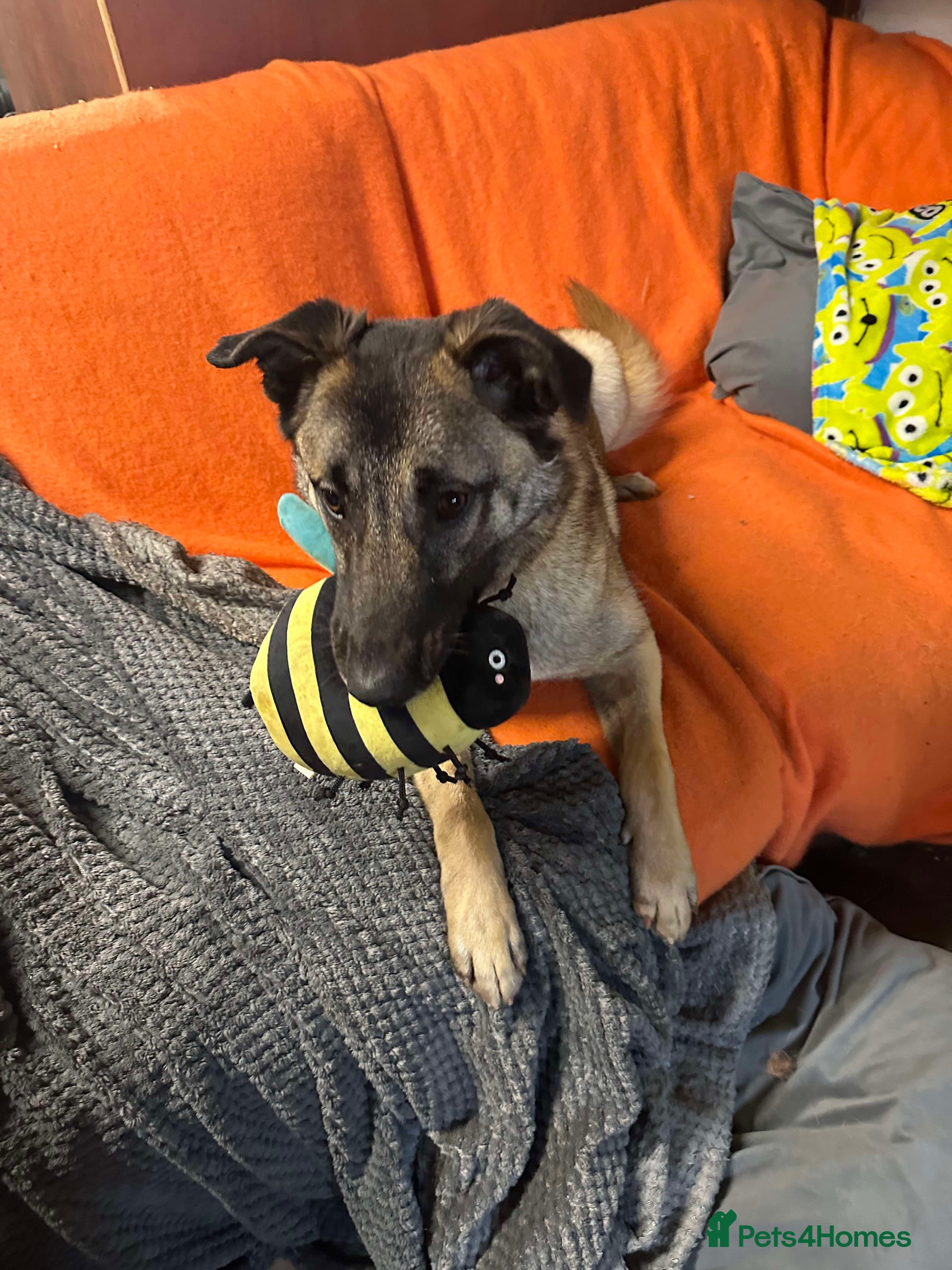 Meet Vera, currently residing in Cheshire photo 16