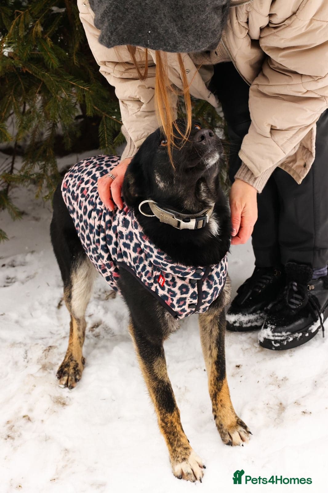 ️MILLA❤️11 month, calm, thoughtful girl photo 7