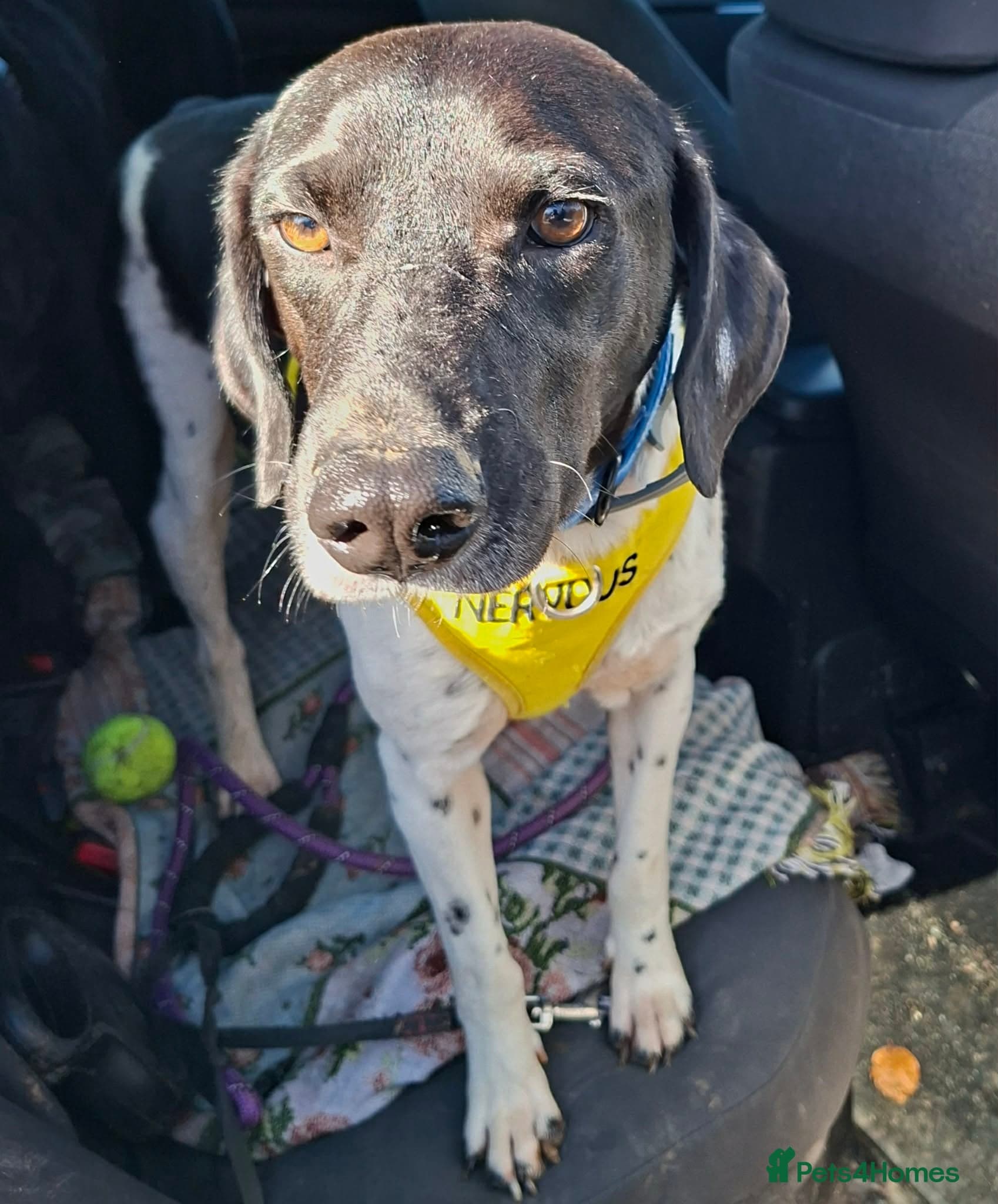 Stratos ! ❤️ a Cypriot sweetheart photo 9