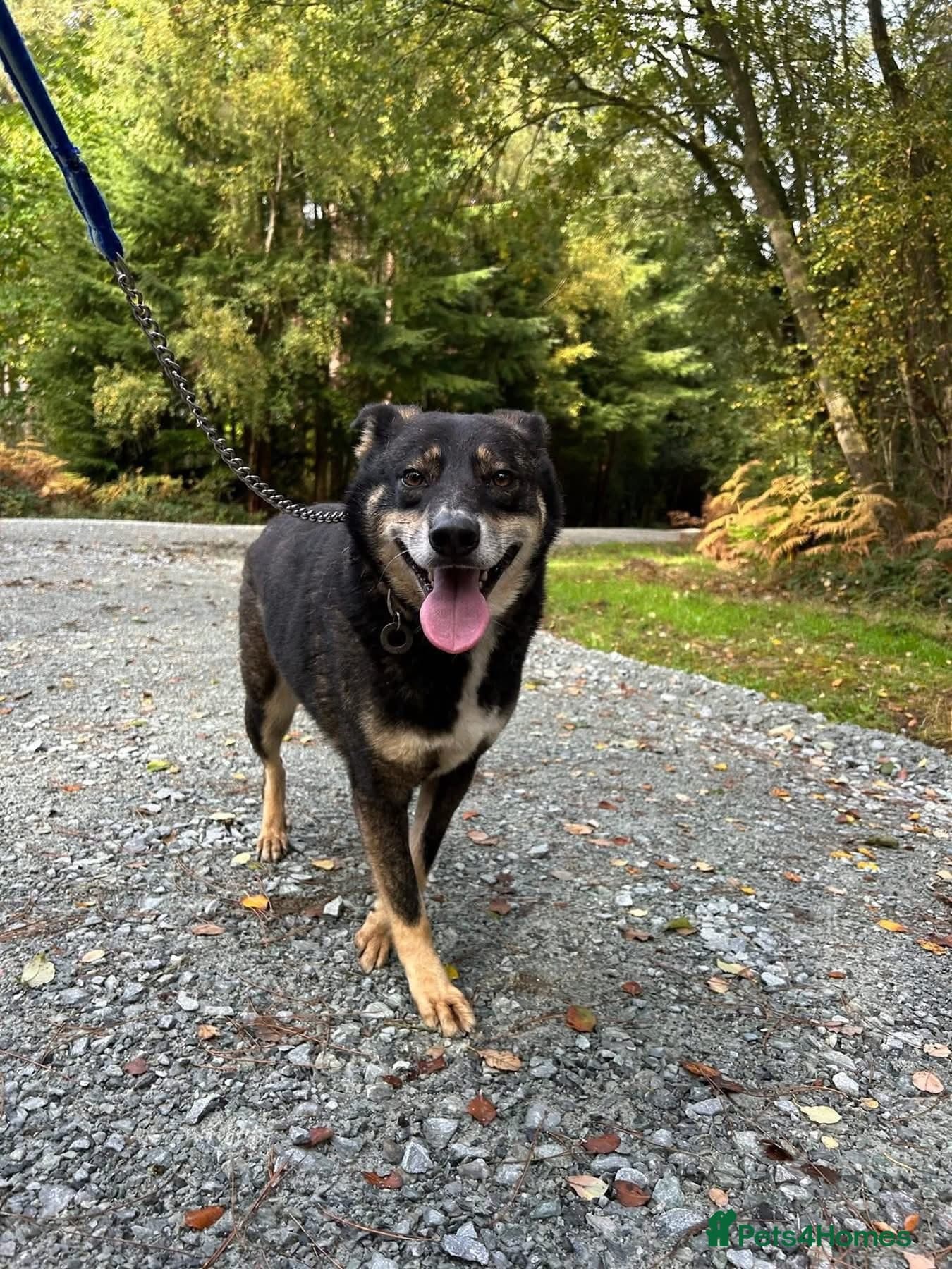 Ben - Norwich Norfolk photo 4