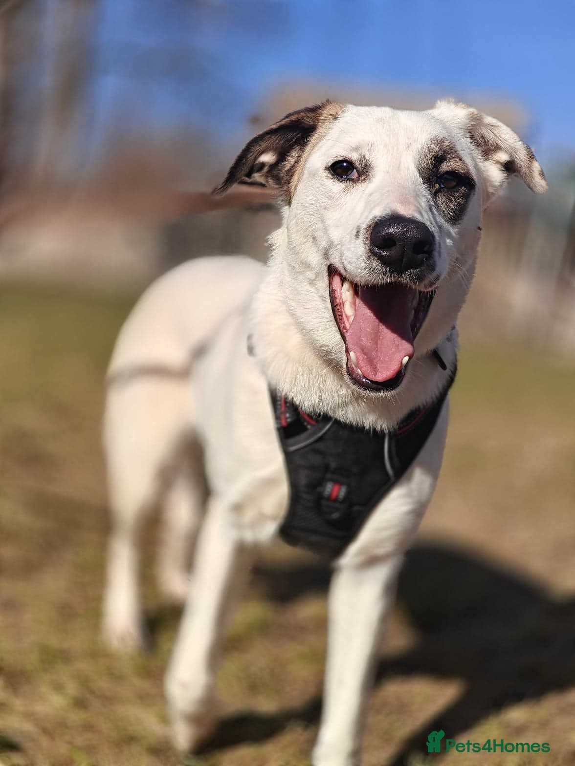 ️PLIAMKA❤️She photo 7