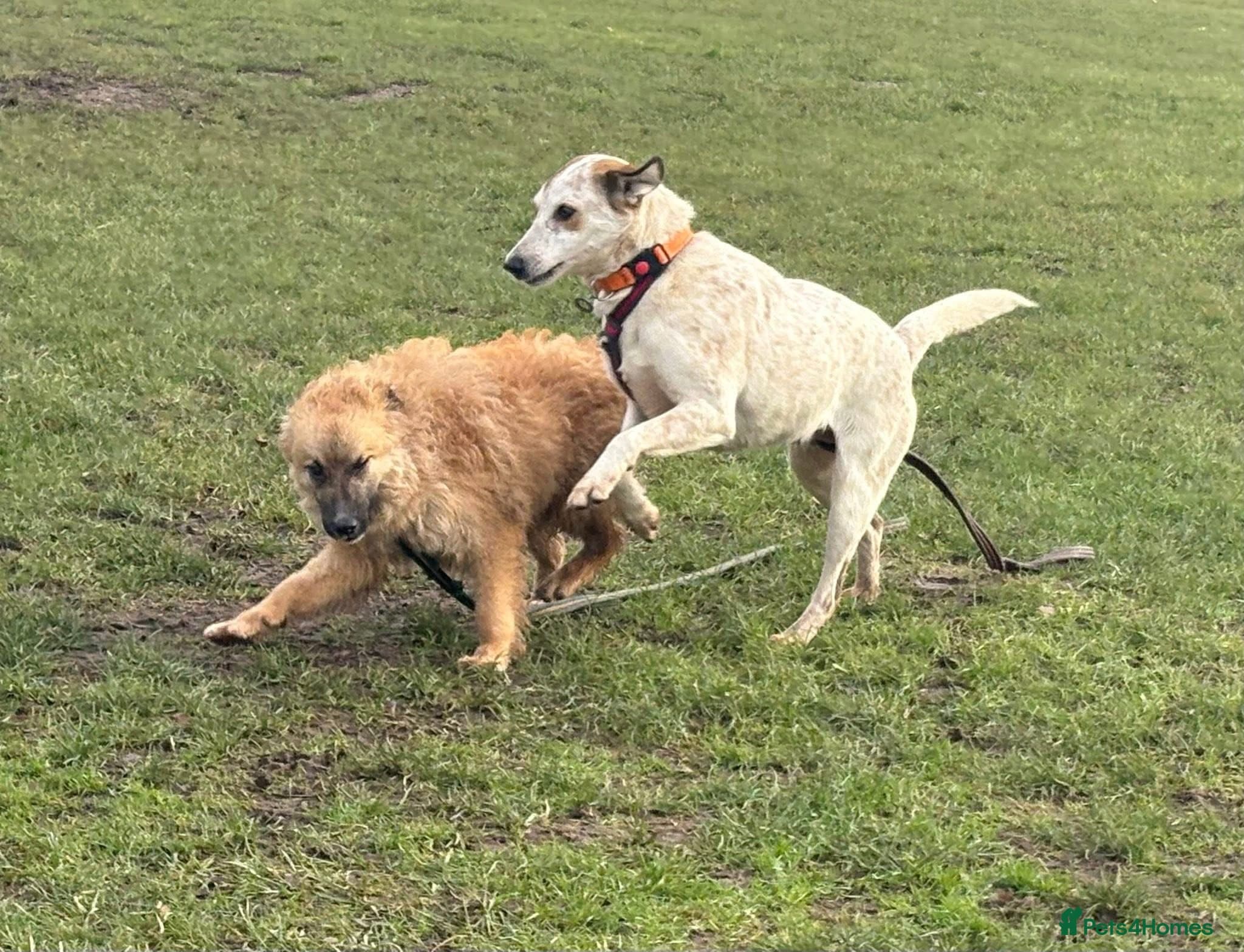 Trinity - Norwich Norfolk photo 14