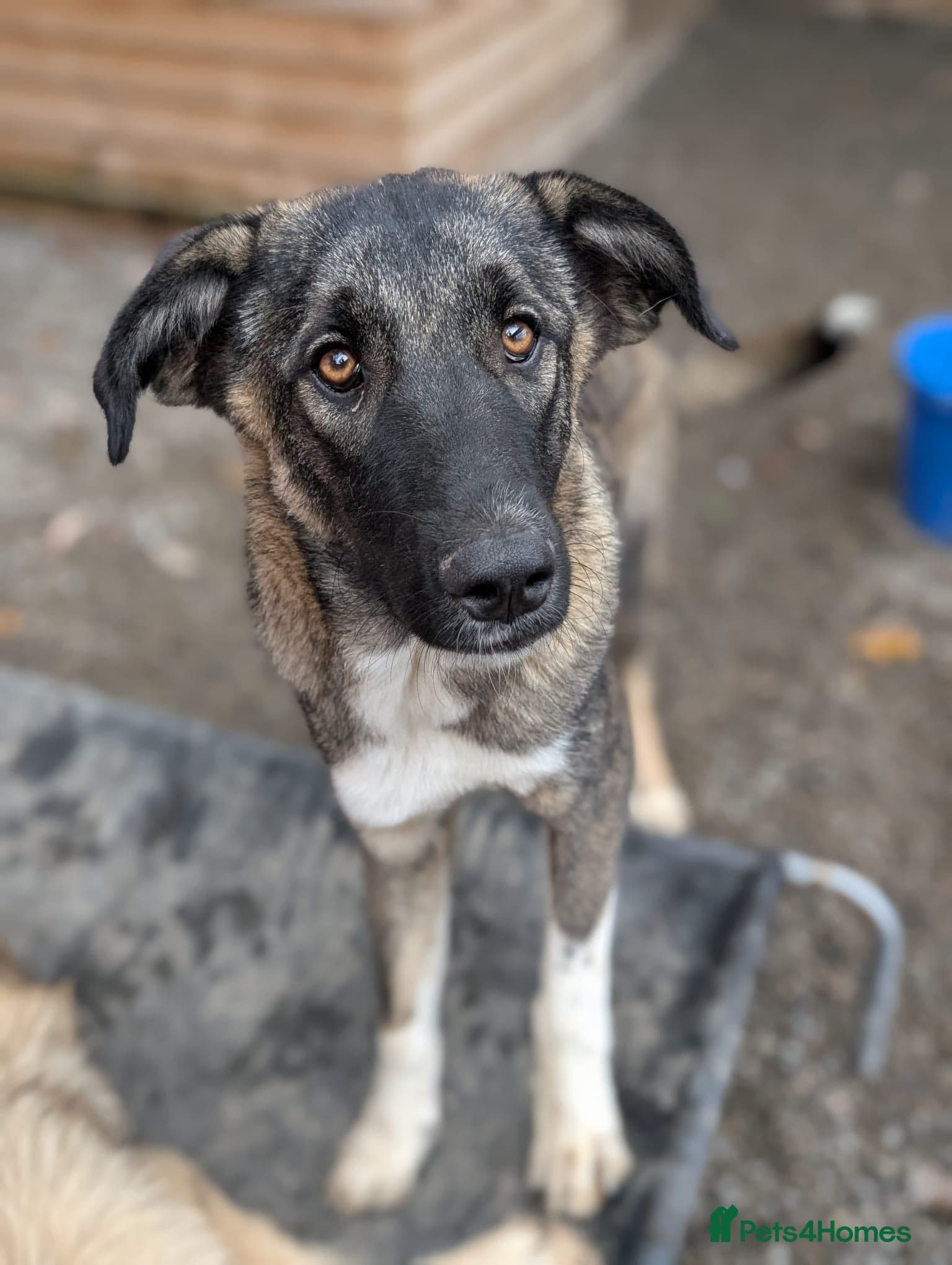 Skye - In Ayr photo 7