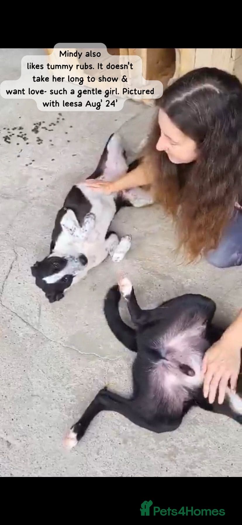 Pretty Mindy. Reserved STC. photo 12