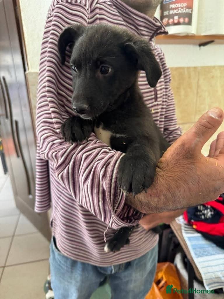 Meet Raegan, currently residing in Surrey photo 7