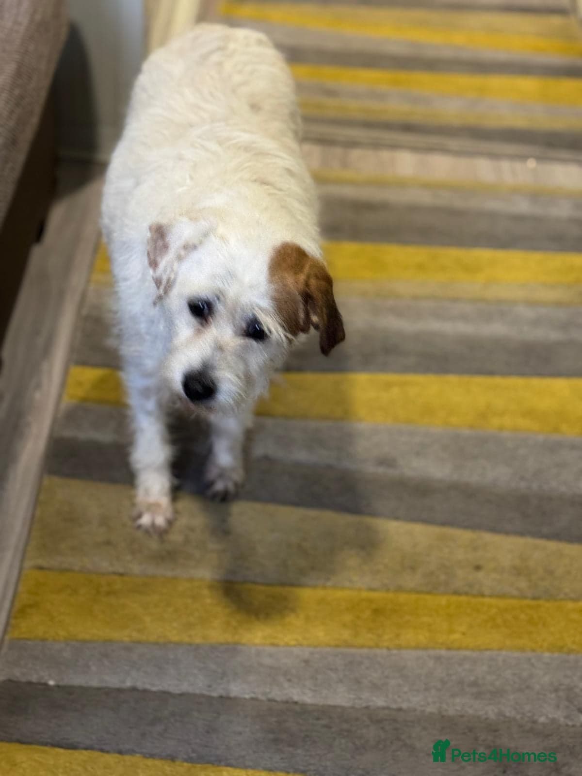 Cute girl Pepsi photo 5