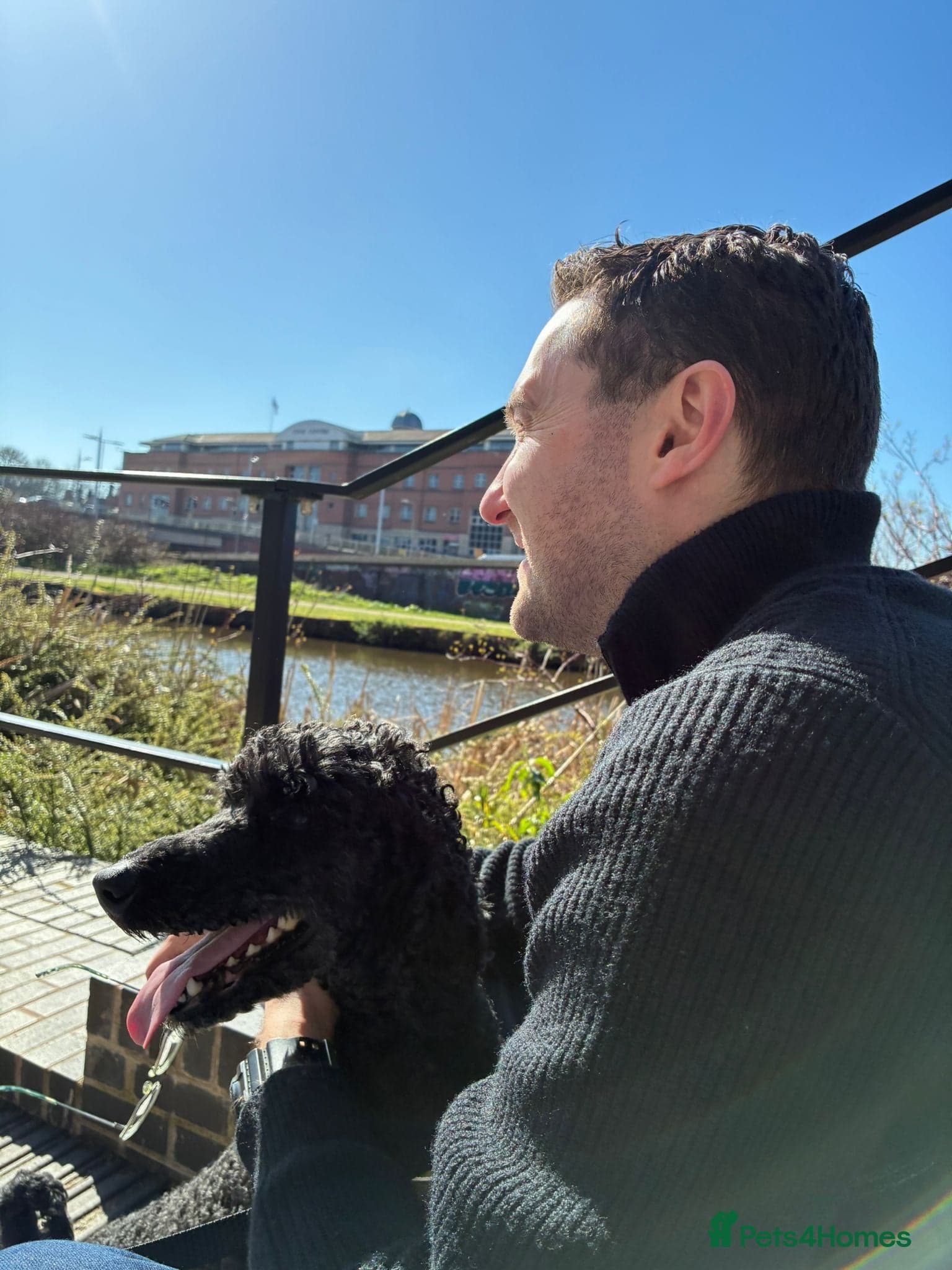 ️🐶 charlie photo 14