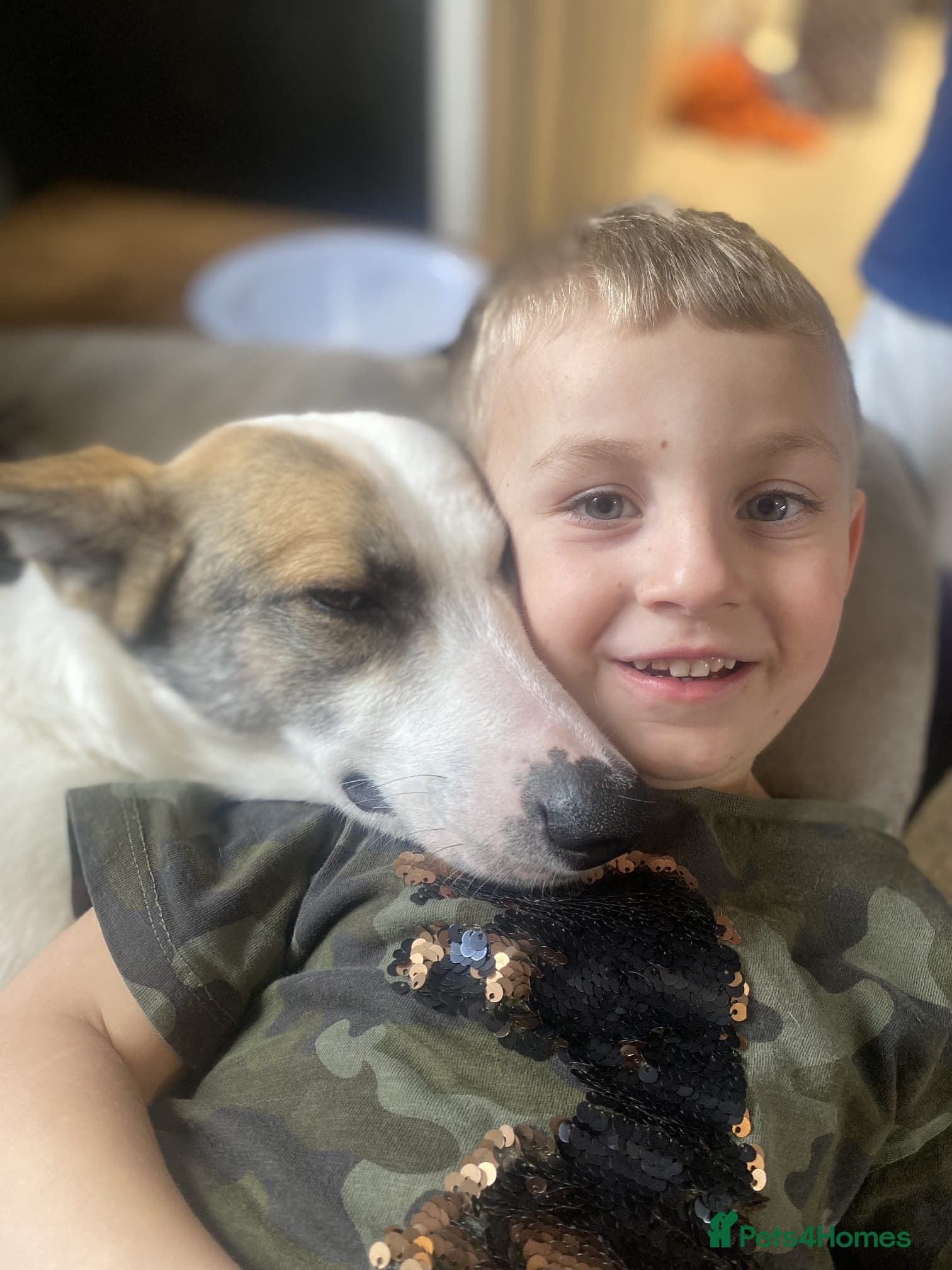 ๏ธ๐ถ bela photo 12