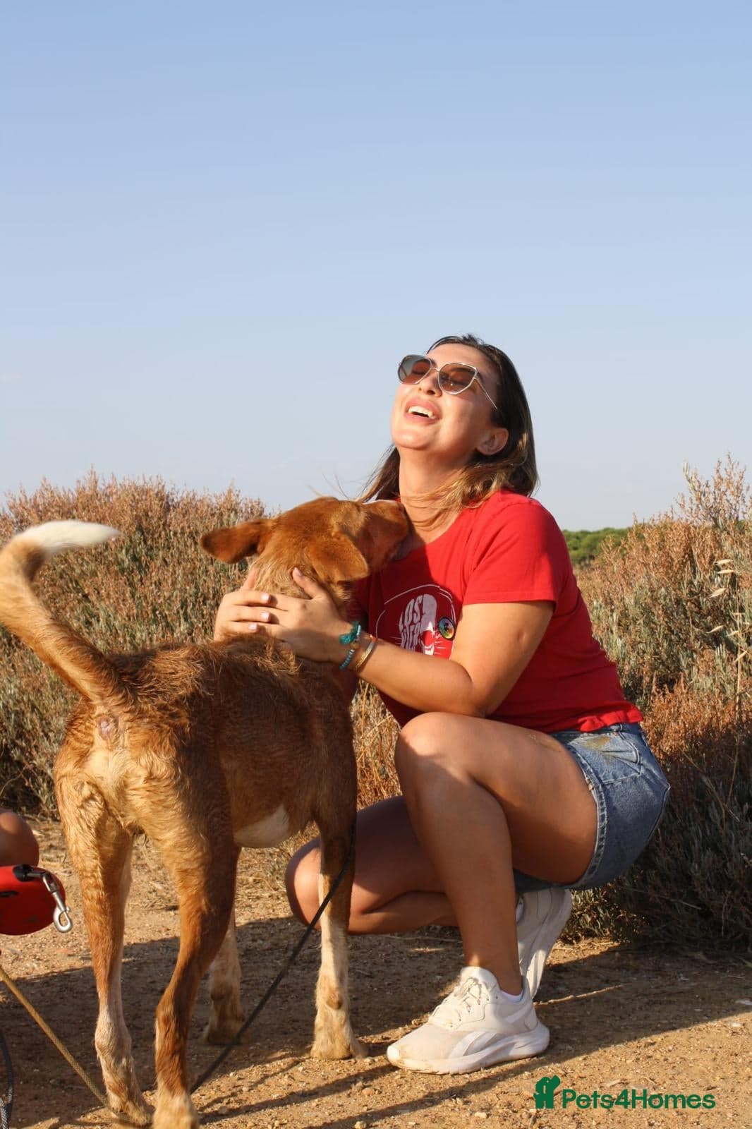 Years waiting - forgotten dogs photo 5