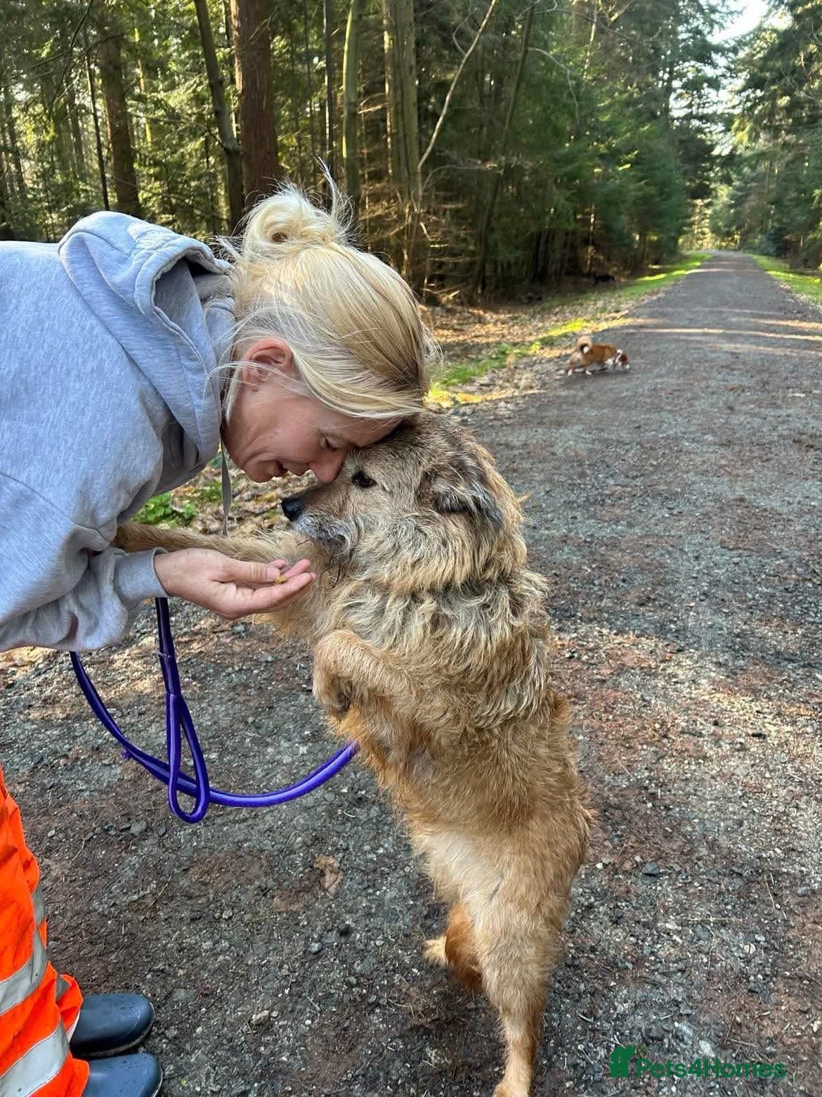 Jack - Watton Norfolk photo 8