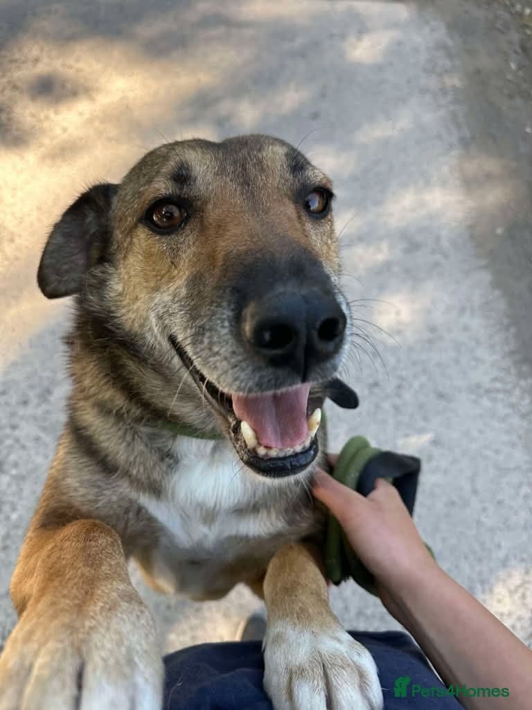 Meet Faith, currently residing in Cheshire photo 12