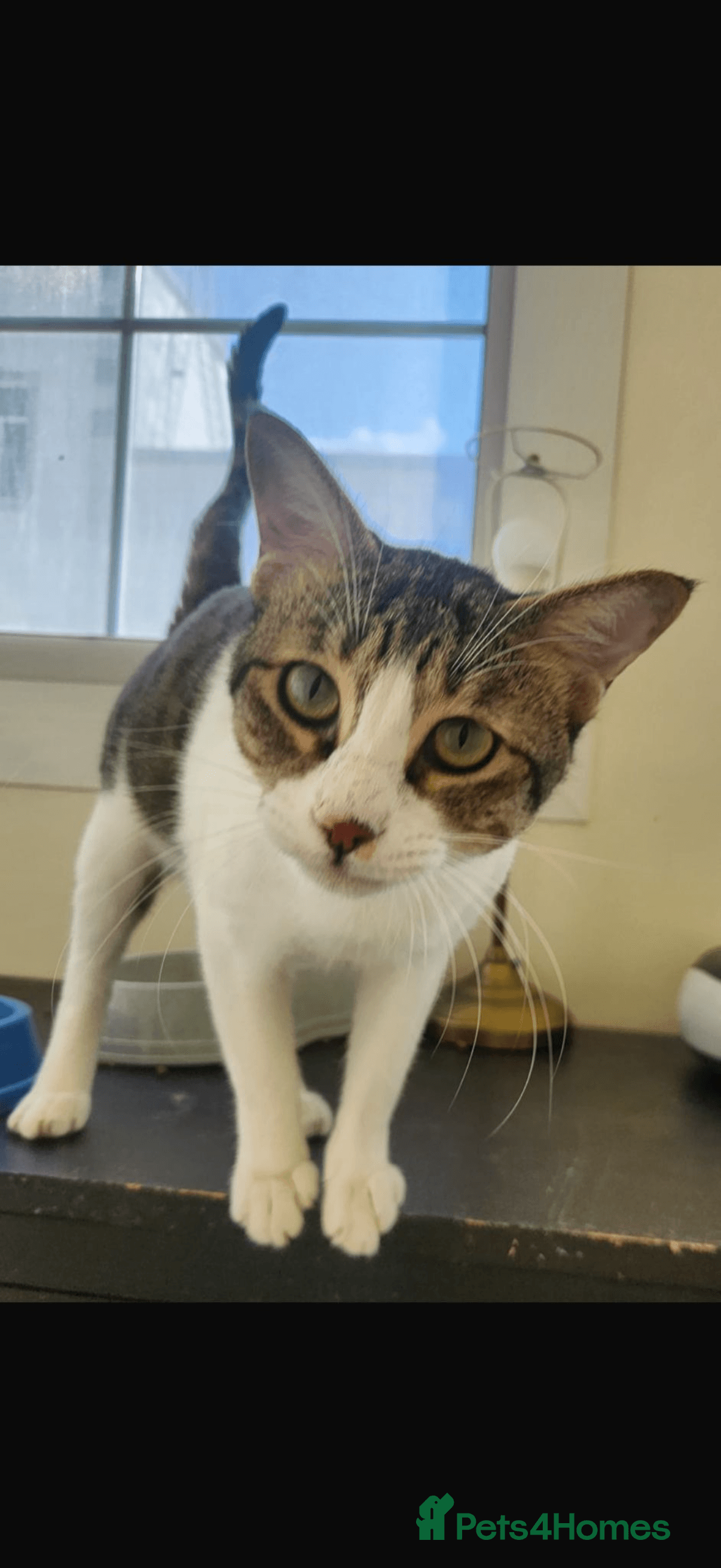 Bubby & Timmy photo 2