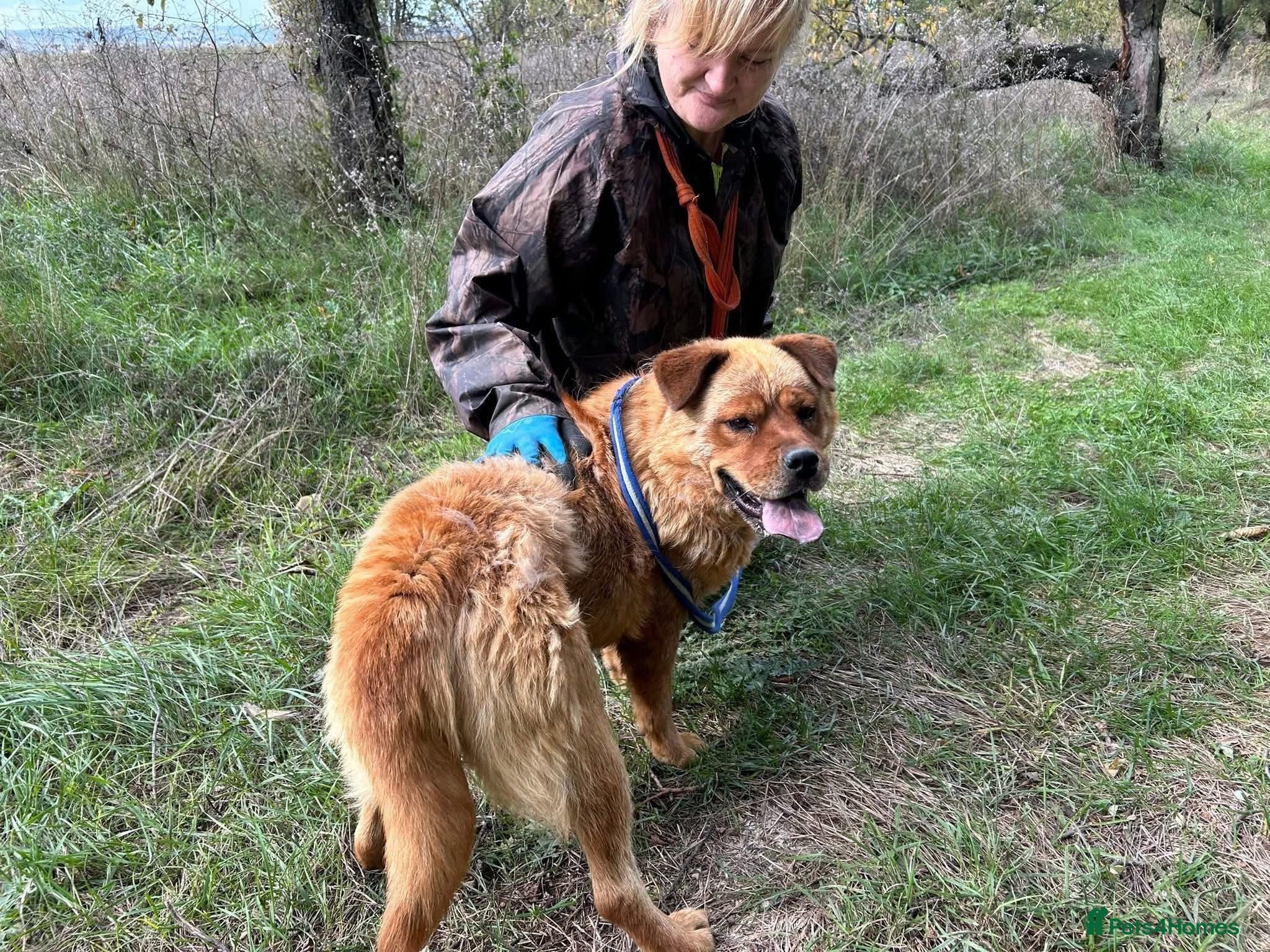 Princess - Norwich Norfolk photo 6