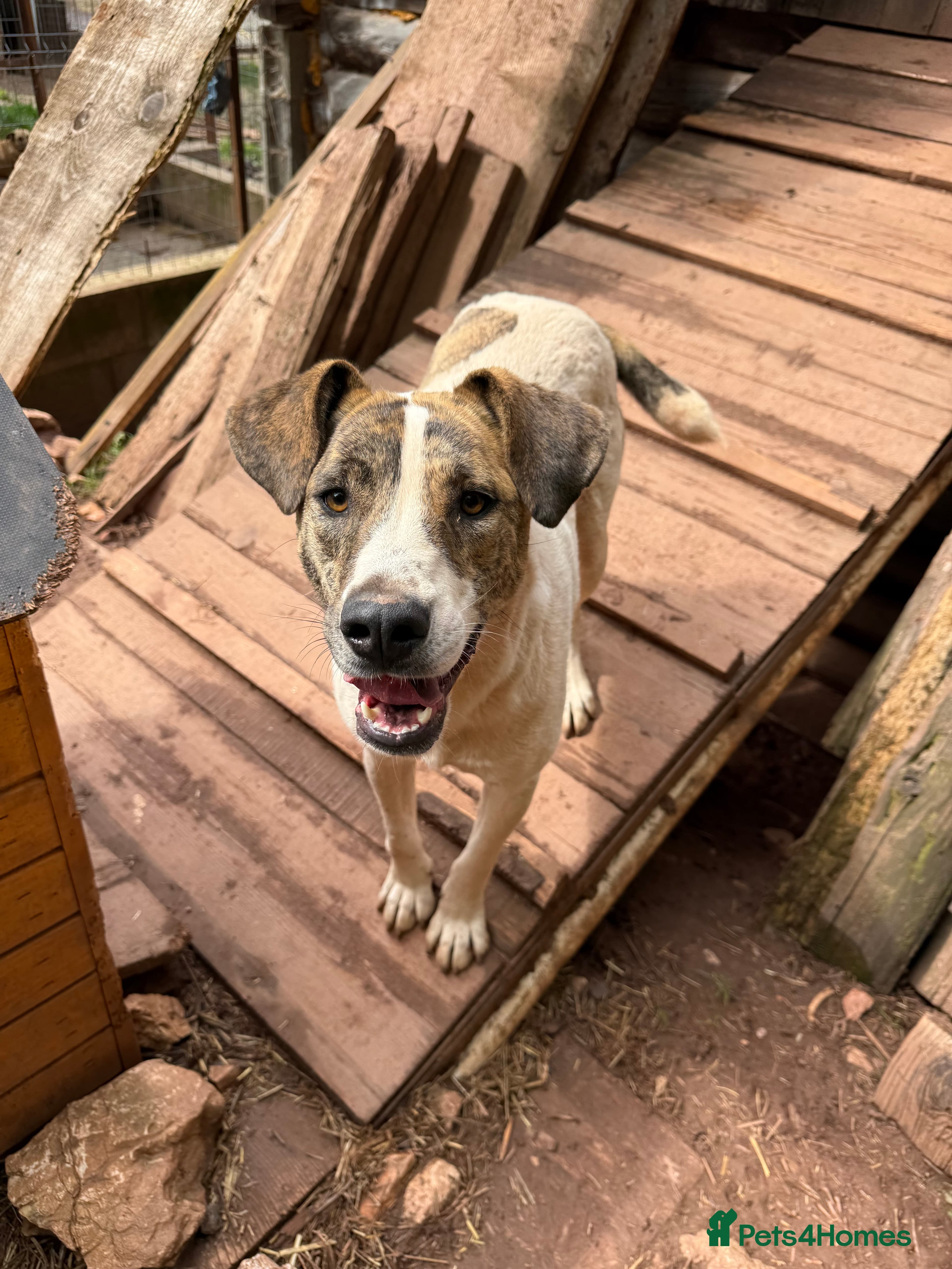 Jasmine 🩷 photo 2