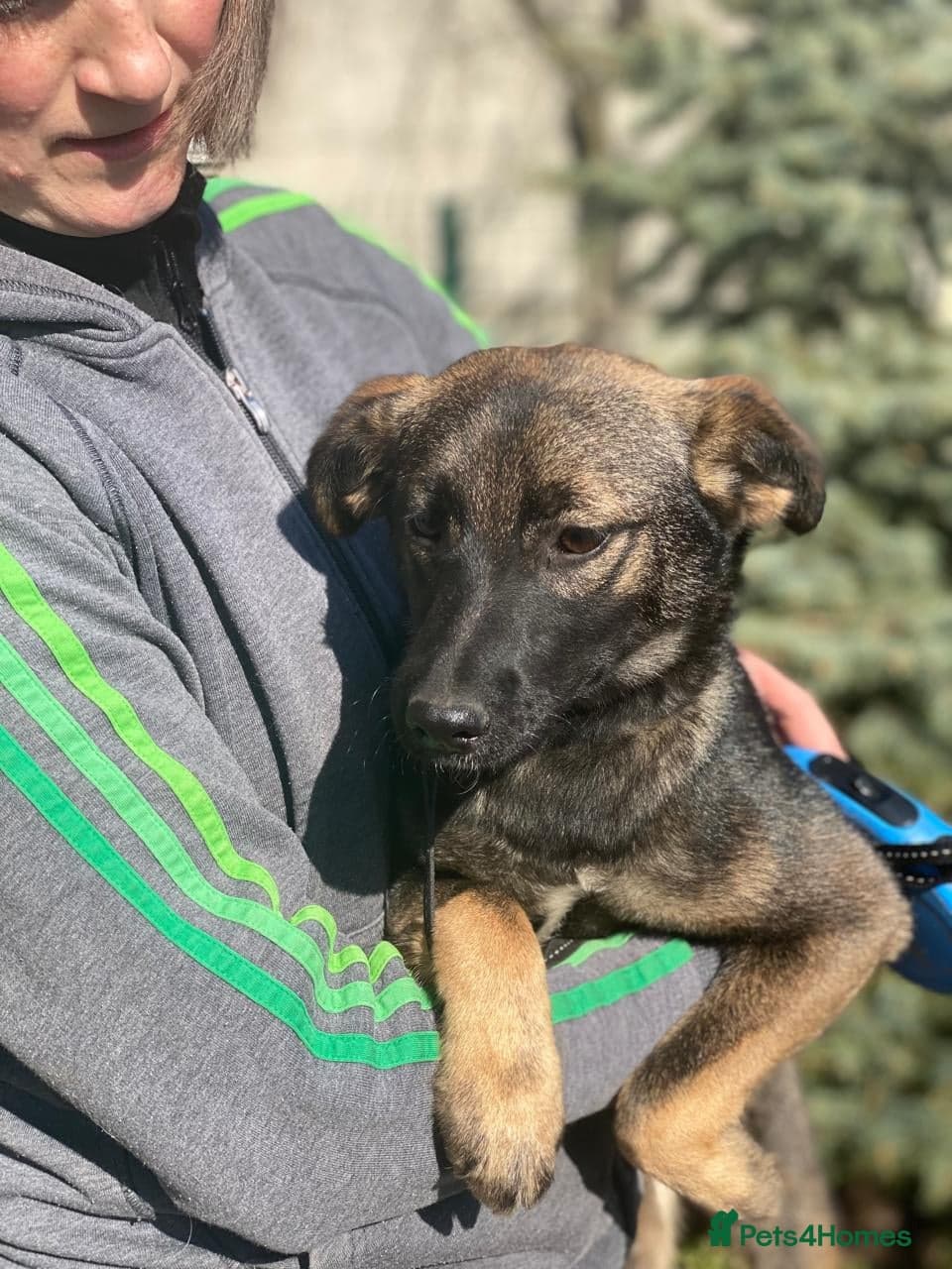 ️🐶 kuba photo 18