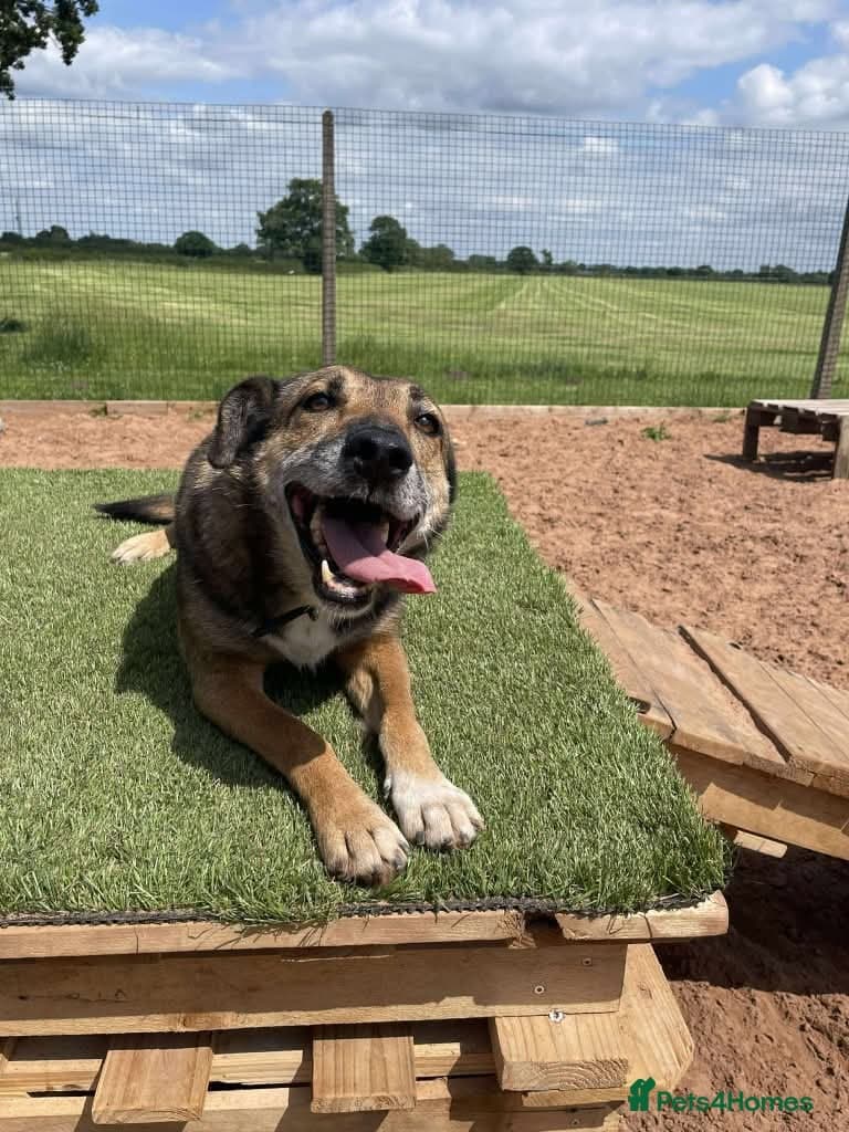 Meet Faith, currently residing in Cheshire photo 11