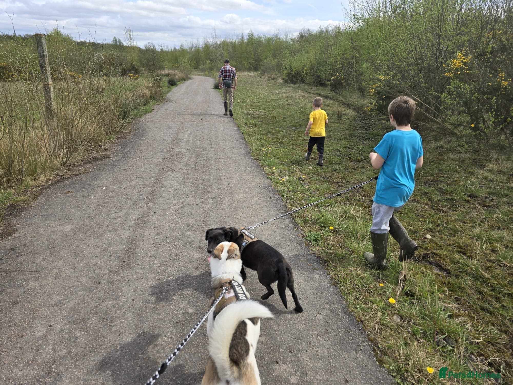 ๏ธ๐ถ bela photo 15