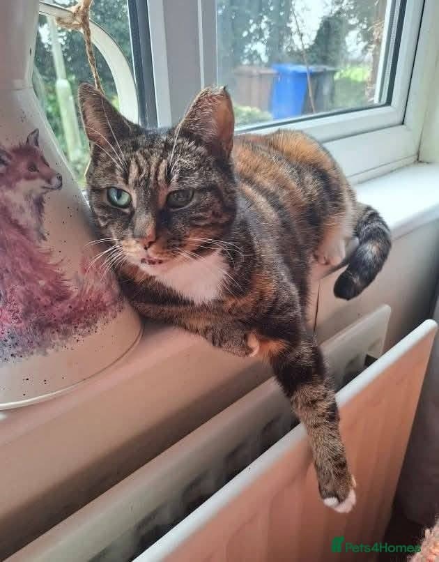 ๏ธ๐ฑ cleo photo 3