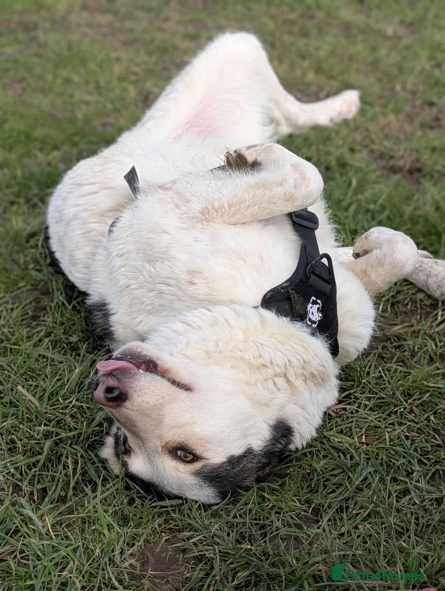 Meet Demi, currently residing in Essex photo 4