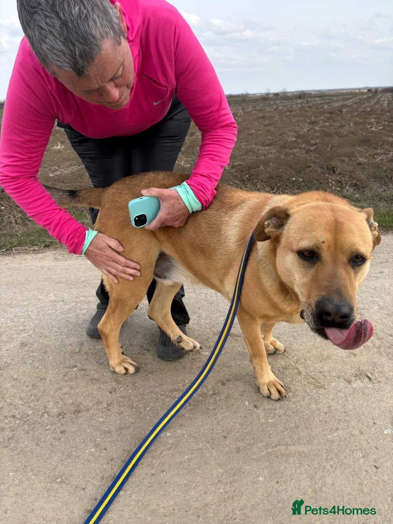 Thor - Dereham Norfolk photo 21